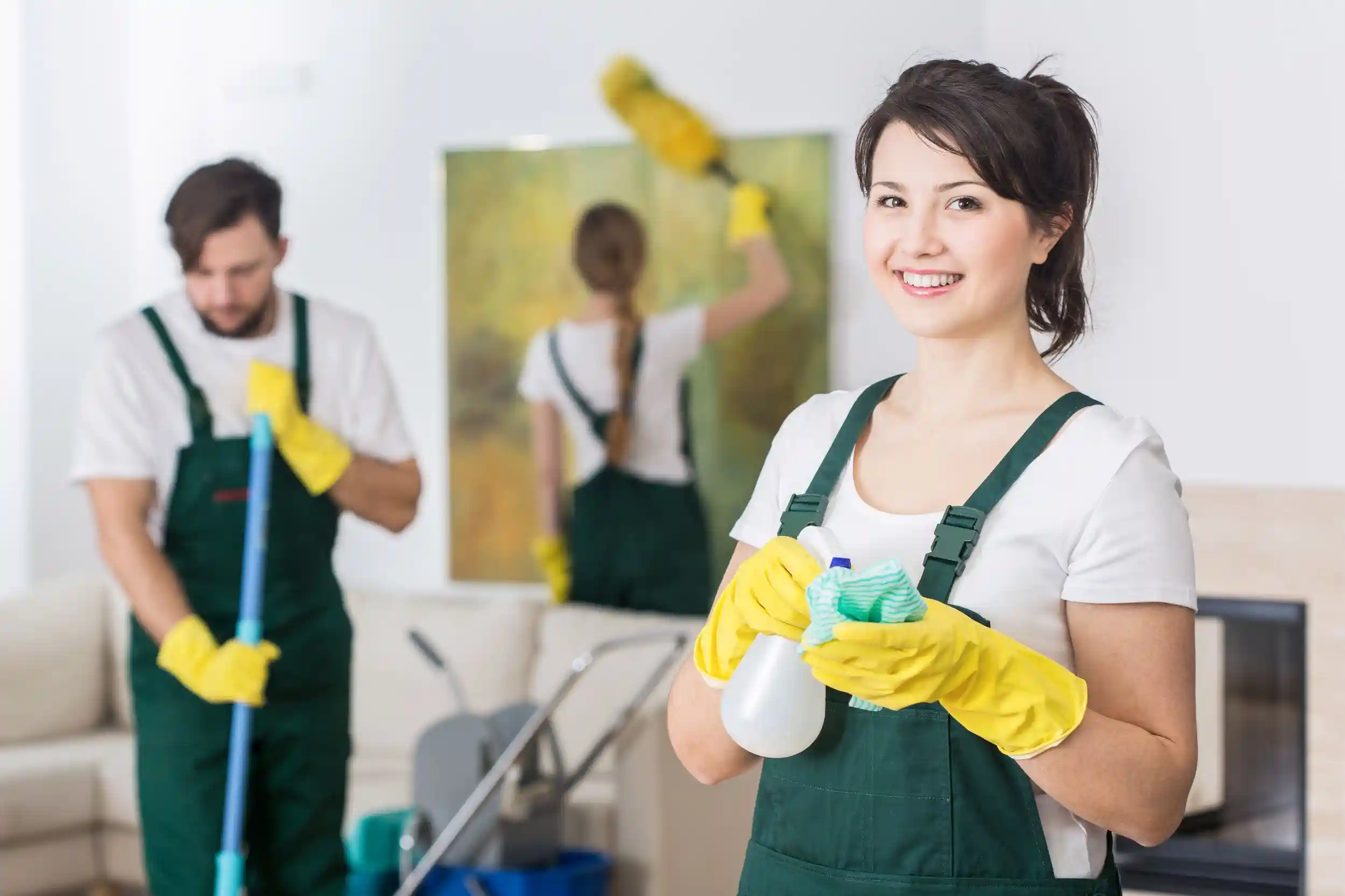 Sparkling Solutions: A Comprehensive Guide to Professional Cleaning Services