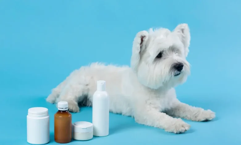 CBD Oil For Dogs