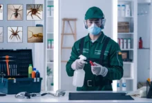 Expert Pest Management Services