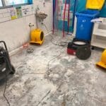 4 Business Trends Shaping the Future of American Enterprises