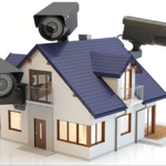 Customer-Centric Distribution: How Vereburn Prioritizes Client Needs