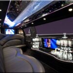 Most Unique Pest Control Methods Available to You