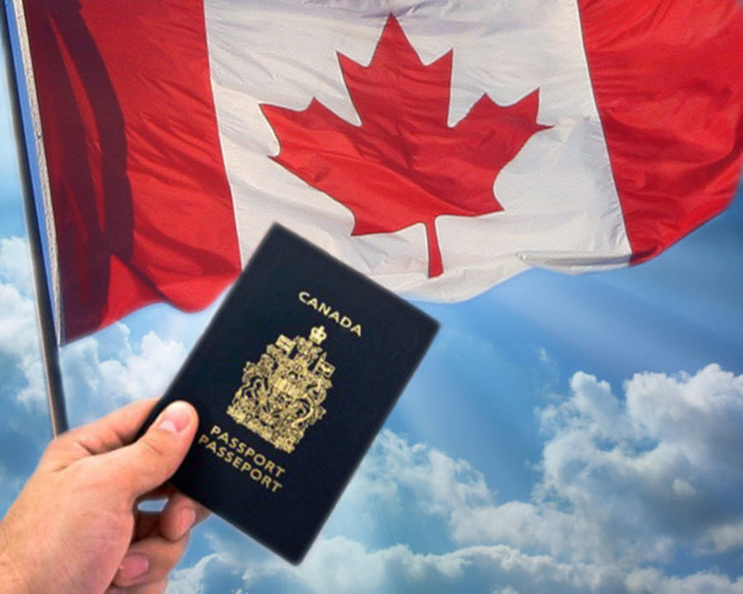 5 Considerable Things for Opt Immigration Consultants For Canada