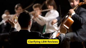 Clarifying LBW Reviews