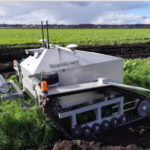 Designing the Perfect Custom Gazebo: Tips for Business