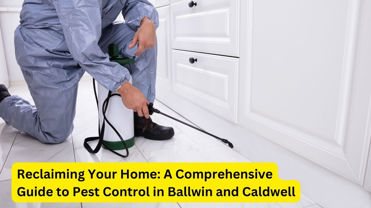 Reclaiming Your Home: A Comprehensive Guide to Pest Control in Ballwin and Caldwell