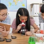 Finding the Perfect Box Trailer for Sale: A Buyers Guide