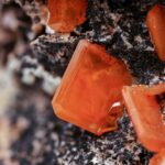 How Solar Panels Can Save Hope Island Homeowners Money