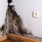 Expert Mortgage Brokers_ Secure the Best Home Loan Rates Today