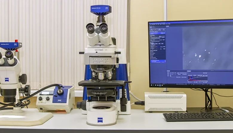 Scanning-Capacitance-Microscopy