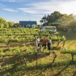 Hear Better, Live Better: The Crucial Role of Early Detection and Intervention in Hearing Loss