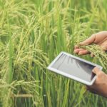 How to Choose the Right Service Provider for Modern Garage Door Repair