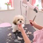 Magento 2 Create Custom Indexer: A Comprehensive Guide