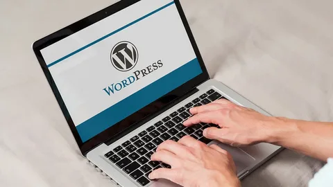 Custom WordPress Development