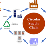 Complete House Renovation in Melbourne: Renovate Your Home with Professional Services