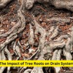 The Advantages of Solar Batteries for Off-Grid Living