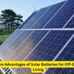 The Impact of Tree Roots on Drain Systems