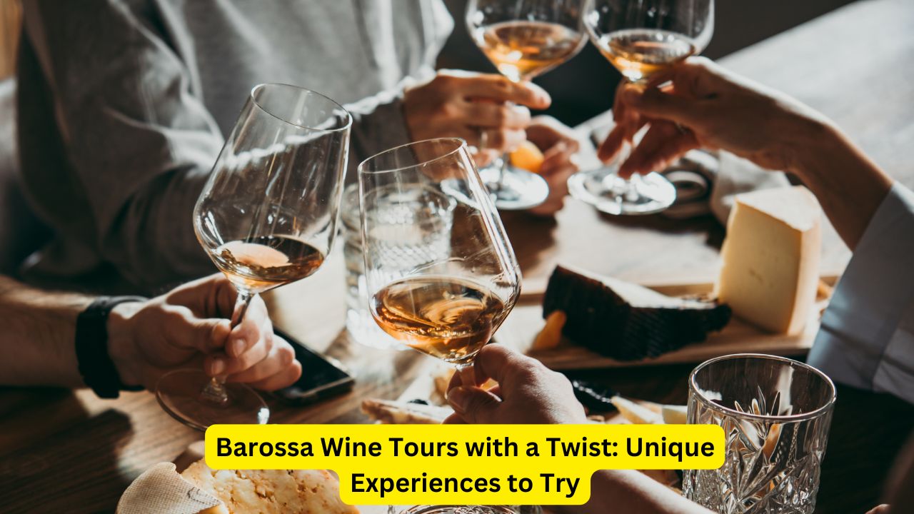 Barossa Wine Tours with a Twist: Unique Experiences to Try