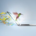 The Fintech Frontier: Opportunities in an Evolving Financial Landscape