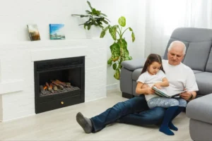 Fireplace-Insert