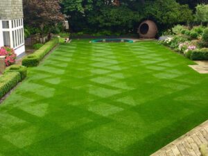 Lawn Transforms Your Yard