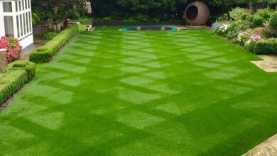 Lawn Transforms Your Yard