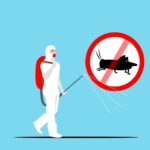 Office and Strata Cleaning: Ensuring a Pristine Environment for Australia Day Celebrations