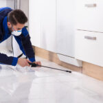 Fortify Your Carport with Premium Home Improvements’ Expert Tips