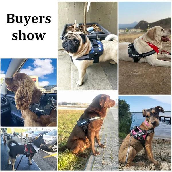 Find Your Dog’s Custom Harness with Name at TheHeapsVariety