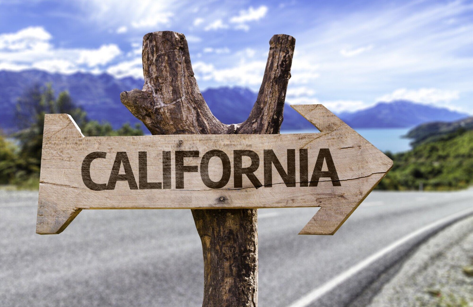 The Top Affordable Places to Live in California for Families