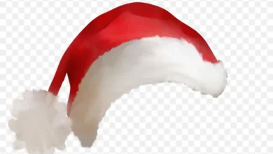 Santa Hats