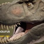 Comprehensive Water Damage Restoration Services in Milwaukee