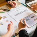 The Rise of Organic Green Tea in Japan: Cultivating Health and Tradition