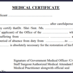 How to Choose the Best Ute Canopy for Your Vehicle