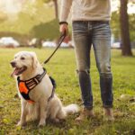 No-Swap, No-Store: How to Travel Across Europe with Just an eSIM