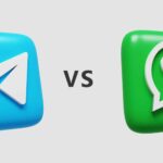 Best Dog Leads and Harnesses for NZ Dogs Guide