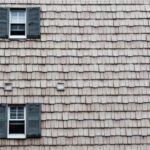 Investment Trends: Why Cell Line Development Tech is Booming