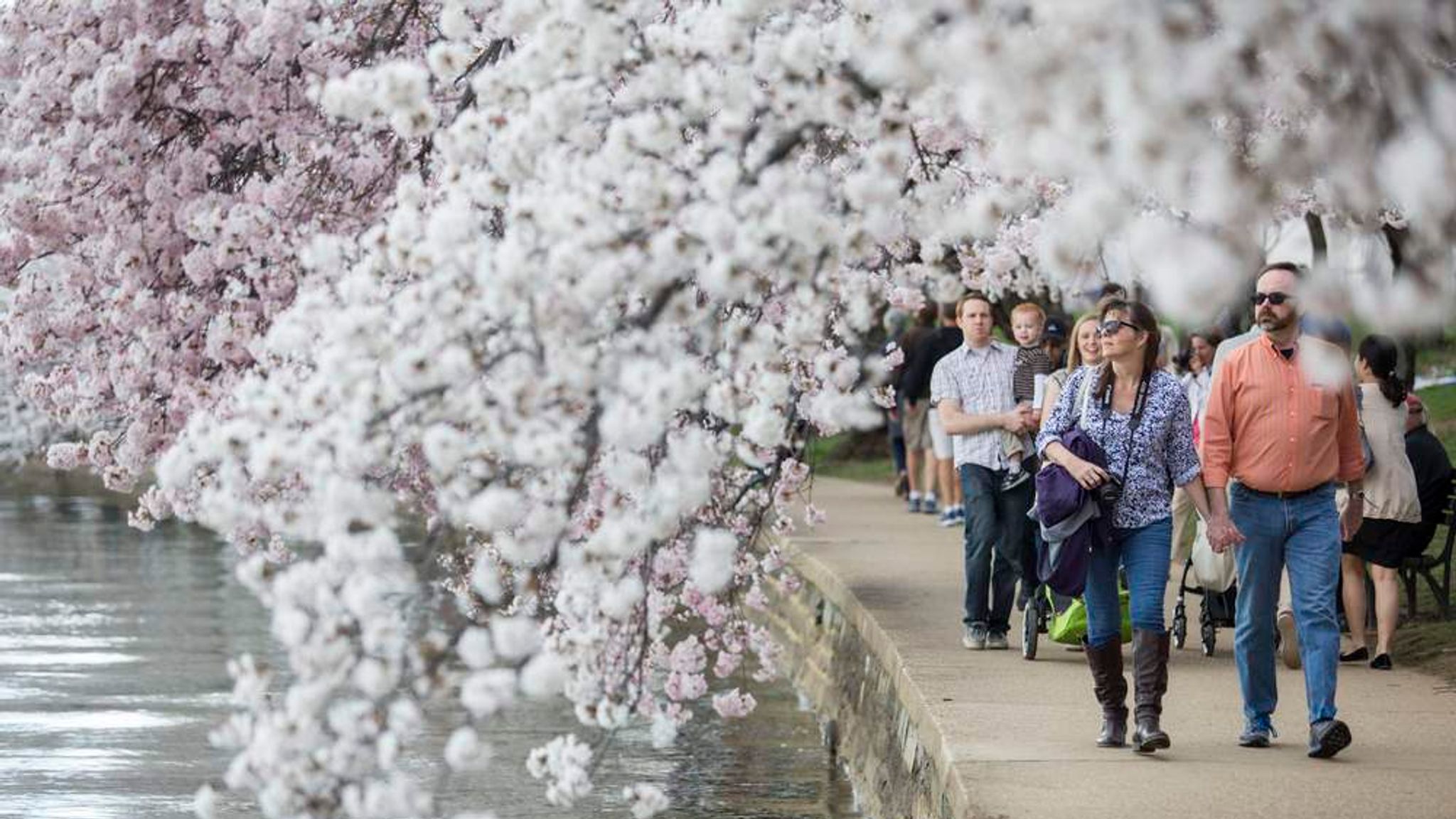 Your Guide to Staying Flexible During France’s Busy Tourist Seasons