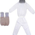 Going Digital: How Traditional Businesses Are Thriving Online