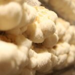 How to Catch Up on Retirement Savings in Your 50s and Beyond