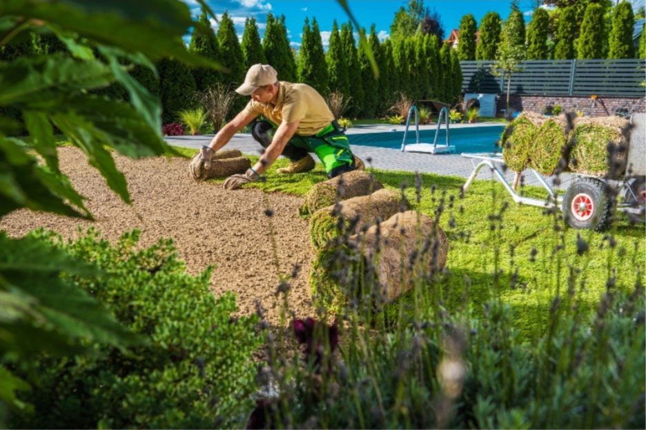 Simple Garden Maintenance Hacks Every Homeowner Should Know in 2025
