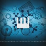 Contract Logistics and Pallet Collection Services: The Backbone of Efficient UK Supply Chains