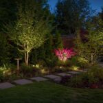 How Peer Support Enhances Youth Addiction Treatment in Australia