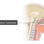 Can Laser Pigmentation Removal Rejuvenate Your Skin?