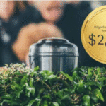 Essentials Hoodie Canada Timeless Streetwear Choice for Men and Women