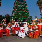 Chin Filler Dubai Trend Redefines Facial Balance