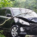 Jim Song: Celebrating All Americans Through Music