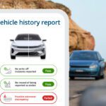 Understanding Dementia Care and the Support Options Available for Families