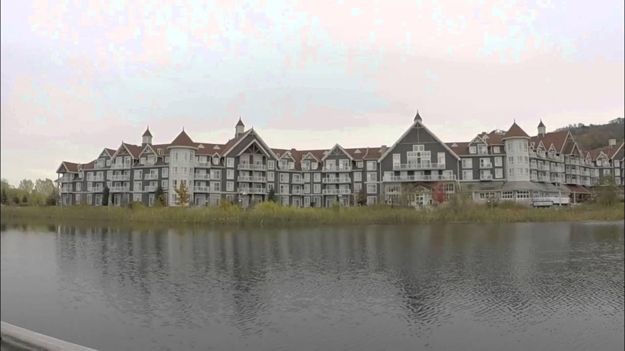 Collingwood AFLMerchandise