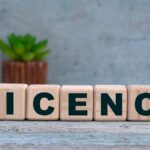 Asad Malik: A Detroit Sports Fan’s Take on Leadership, Teamwork, and Community